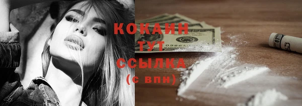 ГАЛЛЮЦИНОГЕННЫЕ ГРИБЫ Горняк