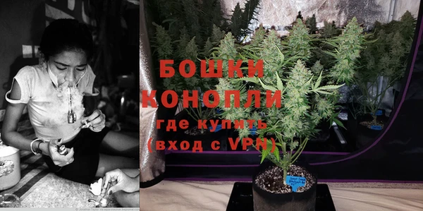 стаф Белокуриха