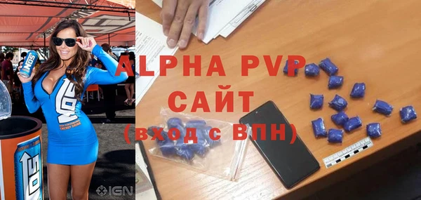 стаф Белокуриха
