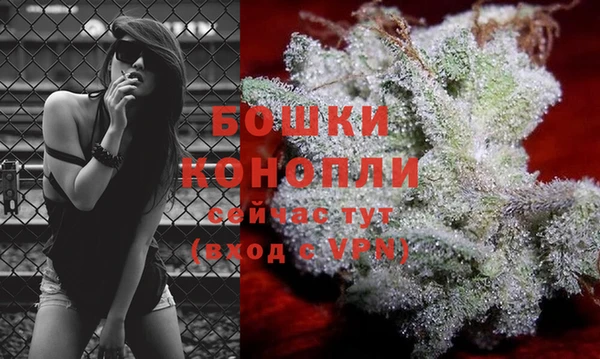 стаф Белокуриха