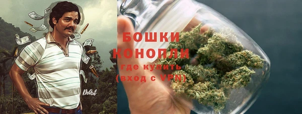 стаф Белокуриха