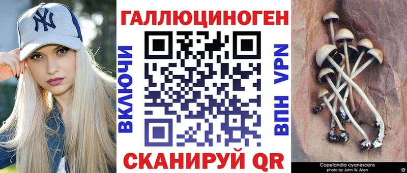 Галлюциногенные грибы Magic Shrooms  Надым 
